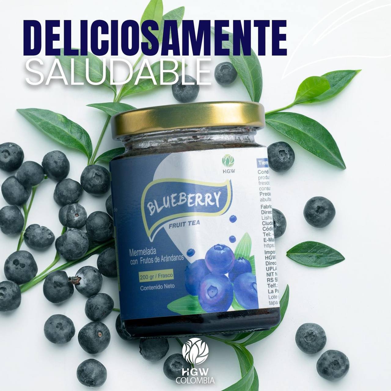 Blueberry Fruit