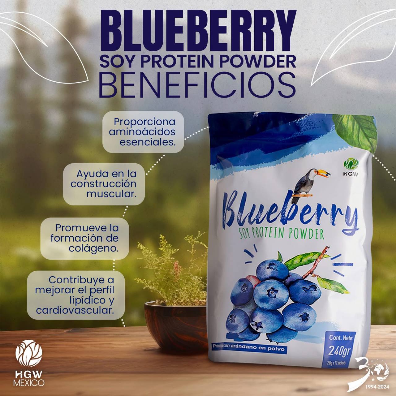 Blueberry Soy Protein