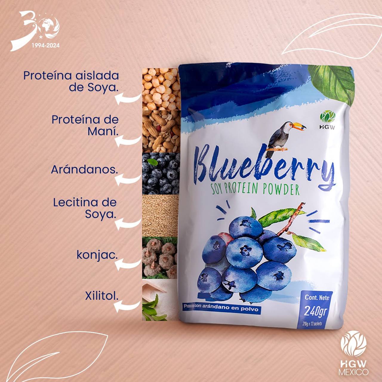 Blueberry Soy Protein